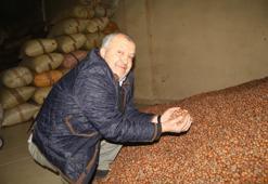 TMO fındık alımını durdurdu, serbest piyasada fiyatlar etkilendi