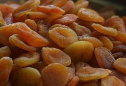 Kayısı çekirdeği ihracatı yüz güldürdü