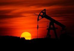 Petrol piyasası yatırımcıları hayal kırıklığına uğrattı