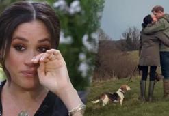 Meghan Markle'ın acı günü! 'Sayamayacağım kadar gözyaşı döktüm'