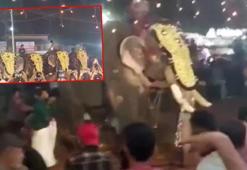 Festivalde korku dolu anlar! Fil insanlara saldırdı: 17 kişi yaralandı