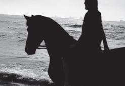 Türkiye’den tek proje