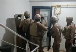 41 ilde operasyon: 147 terör örgütü mensubu yakalandı