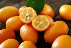 Kabuğuyla yeniyor, minicik boyuyla kataraktı önlüyor! Gençliğin sırrı içinde saklı