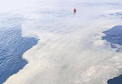 Bakırköy ve Yeşilköy açıklarında görüldü! Marmara’da müsilaj alarmı