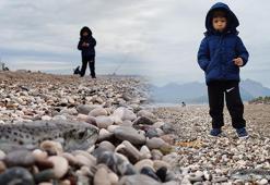 Sahillerde büyük tehlike! 'Karaya çıkarılması yasak'