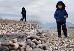 Sahillerde 'karaya çıkarılması yasak' balon balığı tehlikesi