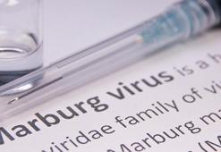 DSÖ: Tanzanya'da Marburg virüsü nedeniyle 8 kişi öldü