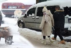 Marmara kara teslim! Balkanlardan geldi, İstanbul’a yaklaştı