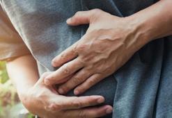 SALMONELLA NEDİR, NEREDEN BULAŞIR? Salmonella tedavisi var mı, öldürür mü?