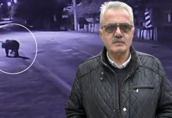 Köylerdeki camilerden anonslar yapılıyor! İlçede firari ayı alarmı