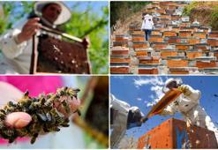 Türk balı ihracatı 2024'te 32,3 milyon doları aştı