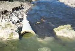 Melen Deresi'ne lağım suyu karıştığı iddiası! Düzce Belediye Başkanı Özlü video paylaştı