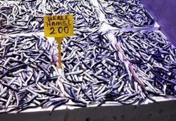 Tezgahlarda hamsi bereketi! Kilosu 200 TL