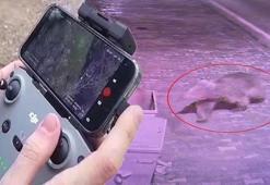 Termal kameralarla aranıyor! 5'inci gün doldu, orman didik didik edildi