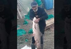 Edirne’de 1 metre boyunda 13 kilo ağırlığında sazan balığı yakalandı