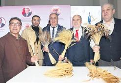 Medeniyetlerin temeli