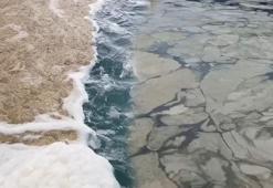 Büyük tedirginlik yeniden başladı! 4 yıl sonra ilk kez görüldü