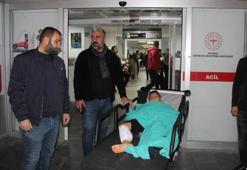 Batman'da dehşet! Küçük çocuğa piknikte sokak köpekleri saldırdı