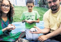 ‘Taliban liderinin başına ödül koyabiliriz’