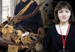 Türkiye'nin dört bir yanında arayıp buldular: Ödev amacımızın çok üstüne çıktı