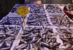 Balık av sezonunda sona doğru