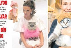 Kedi giydirme modasına tepki