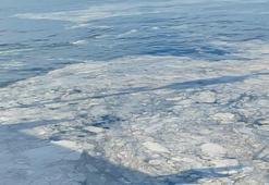 Kabus yeniden hortladı! 'Marmara ölüm çığlığı atıyor'