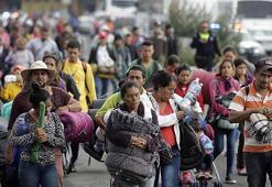 ABD'de 1 günde 1179 düzensiz göçmen gözaltına alındı