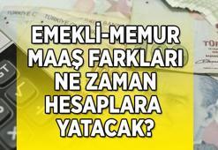 EMEKLİ MAAŞ FARK ÖDEME TARİHLERİ AÇIKLANDI MI? Memur 14 günlük maaş fark ödemeleri ne zaman hesaplara yatırılacak? 1.969 TL en düşük emekli maaş fark ödemesi için gözler bakanlık açıklamasına çevrildi