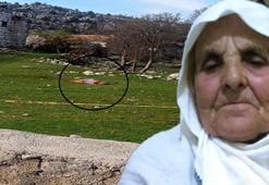 Yaşlı kadın köpeklerin saldırısında hayatını kaybetti! 4 yıl 5 ay hapis