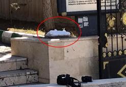 Bebek cesedi sandılar! Mezarlıkta beyaz torba paniği
