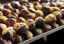 Türkiye'de kestane üretimi arttı