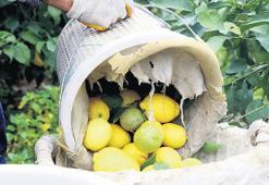 Fiyat makası limonda açık