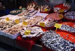 Palamut tezgahlardaki yerini diğer balıklara bıraktı