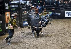 California'da rodeo yarışı: Ünlü kovboy da katıldı