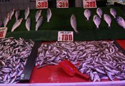 Kilosu 100 liradan satılan istavrit, hamsiyi geride bıraktı