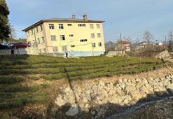 Yer: Rize! Okulda heyelan tehlikesi: Eğitime ara verildi