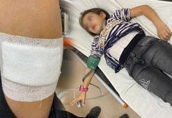 9 yaşındaki öğrenci okul bahçesinde dehşeti yaşadı!