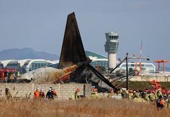 Güney Kore, 179 kişinin öldüğü uçak kazasının ardından kuş çarpması riskine karşı harekete geçti