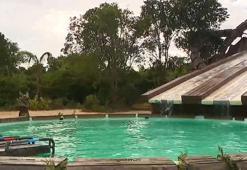 Survivor'da dokunulmazlığı kazanan belli oldu! İşte Survivor 3. eleme adayı