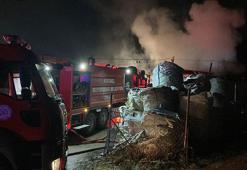 Palet fabrikasında korkutan yangın: 1 yaralı