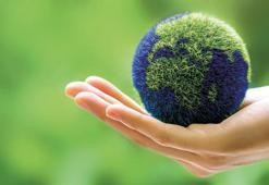 Girişimciye yol haritası