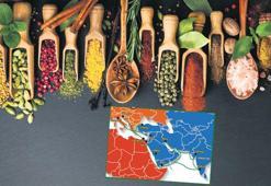 Tüm yollar baharata çıkıyor