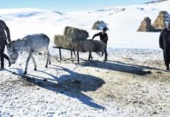 Köy nüfusu azalıyor çiftçiler yaşlanıyor