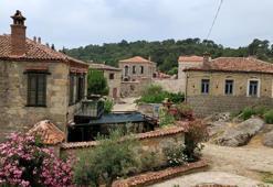 TÜİK çarpıcı veriyi gözler önüne serdi! 5 köyde sadece 1'er kişi yaşıyor