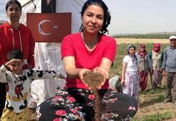 Tarladan koca fabrika kurdu! Her evden cenaze çıkıyordu: '20 metrekarede umut yeşerttik'