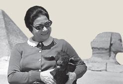 2025, Nil’in ölümsüz sesinin yılının oldu