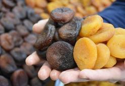 Kuru kayısı ihracatından 240 milyon 57 bin dolar gelir