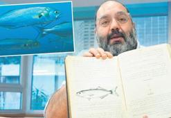 Denizlerin prensi lüferin devri daim olsun